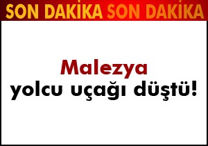 Malezya yolcu uçağı düşürüldü: 295 ölü